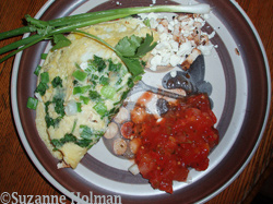 omelet on plate by Suzanne Holman