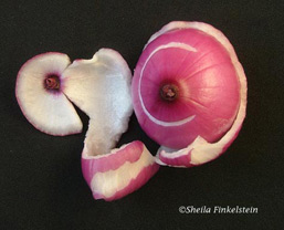 Dried apple face - fun photo